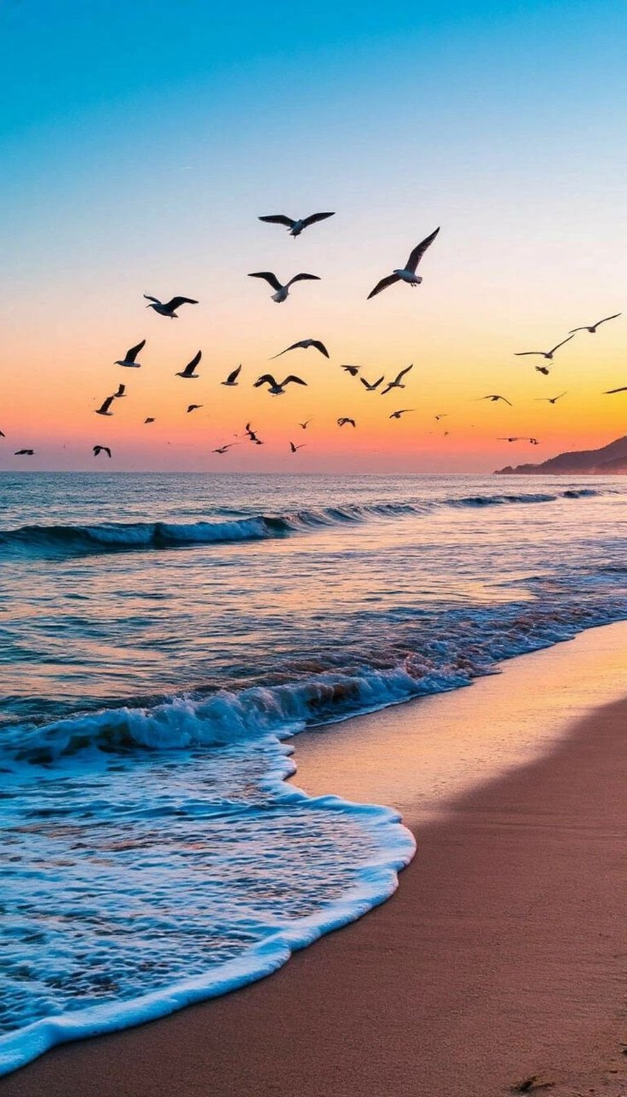 Goa coast