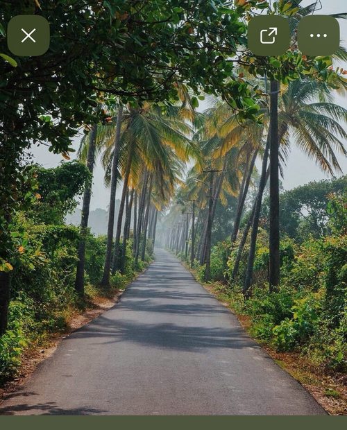 Goa home